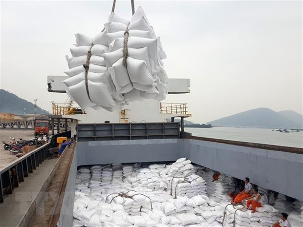 PM approves rice export resumption, orders guaranteed food security ảnh 1 PM approves rice export resumption, orders guaranteed food security ảnh 1