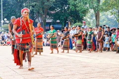 Preserving and promoting intangible cultural heritage in Dong Nai