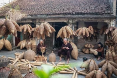 Thu Sy fish-trap weaving village – A guardian of rural Vietnamese heritage