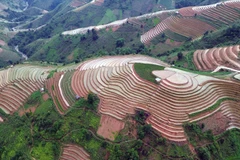 Northwestern terraced fields in the season of pouring water