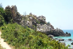 Vi Rong Cape – A wild and mysterious landscape in Binh Dinh province