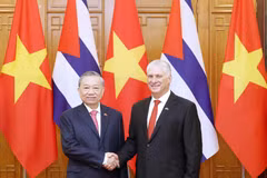 Party chief welcomes, holds talks with Cuban leader