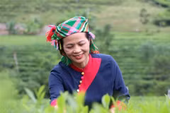 Artisan, businesswoman elevating La Bang tea’s level with modern agricultural mindset