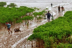 Int’l Day for Biological Diversity May 22: Living in harmony with nature and sustainable development