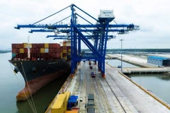 Dong Nai’s largest seaport welcomes first vessel