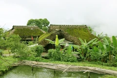 Moss-covered roofs nestled at the foot of Tay Con Linh Mountain