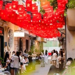 Foreign visitors impressed by Vietnam’s National Day celebrations