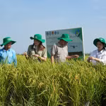 Vietnam makes strides in sustainable agricultural development