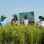 Vietnam makes strides in sustainable agricultural development