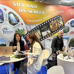 Vietnam: A rising star in global cinema