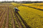 Vietnam’s agricultural transformation into global export powerhouse