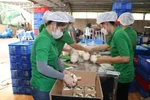 Fresh coconut packaging for export at Mekong Fruit Co. Ltd. in Huu Dinh commune in Chau Thanh district of Ben Tre province. (Photo: VNA)