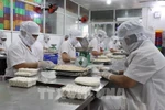 Workers produce fried spring rolls at the Kim Ngoc Food Company in Tan An ward, Tay Ninh province. (Photo: VNA)