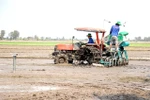 Farmers in Can Tho city use machines to sow rice seeds in fields which are planted under the Ministry of Agriculture and Rural Development’s project to sustainably develop one million hectares of high-quality and low-emission rice cultivation associated with green growth in the Mekong Delta by 2030. (Photo: VNA)