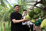 Chinese Consul General Wei Huaxiang visits a coconut farm in Cau Ke district, the Mekong Delta province of Tra Vinh, on December 20. (Photo: VNA)