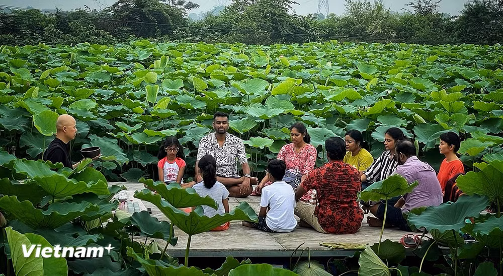 Tay Ho lotus 3.jpg