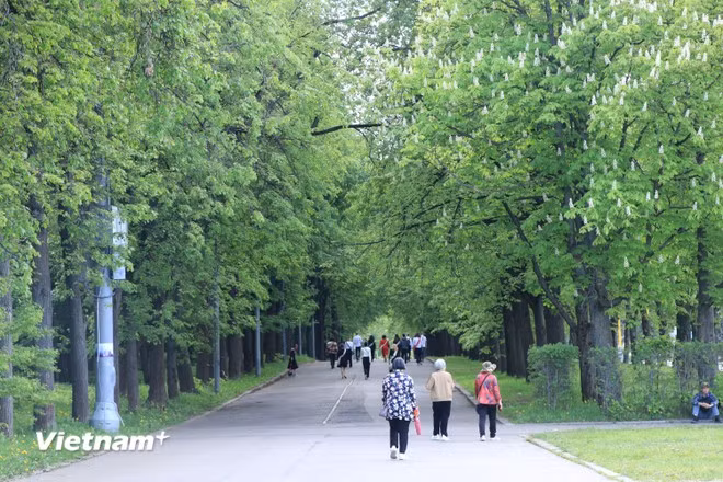 tai chinh xanh 3.jpg