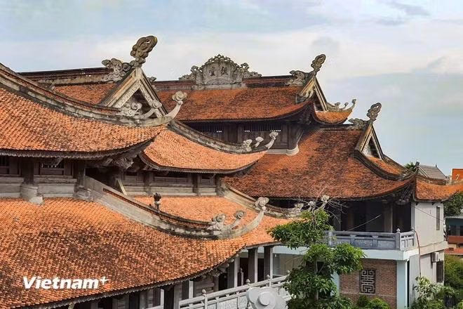 Lam Son 2.webp