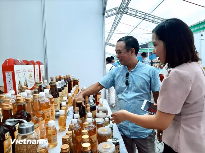 Vietnam DOC antidumping tarrif 2.jpg