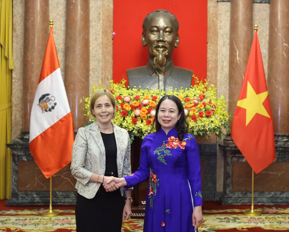 vna_potal_quyen_chu_tich_nuoc_vo_thi_anh_xuan_tiep_dai_su_peru_den_trinh_quoc_thu__7376686.jpg