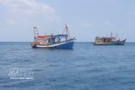 Ca Mau is currently home to more than 5,200 fishing vessels, including nearly 1,900 boats measuring over 15 metres in length, and all have been equipped with vessel monitoring systems. (Illustrative photo: VNA)