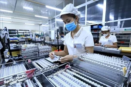 Workers at a factory (Photo: VNA)
