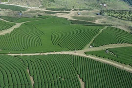 Green economy, circular economy