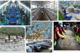 The private economic sector is the most important momentum of the national economy. (Photo: VNA)