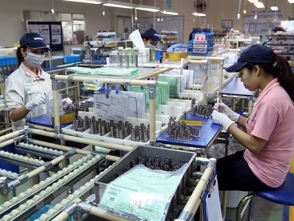 Strategy sought for private sector development ảnh 1