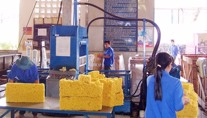 Rubber industry faces falling export price ảnh 1