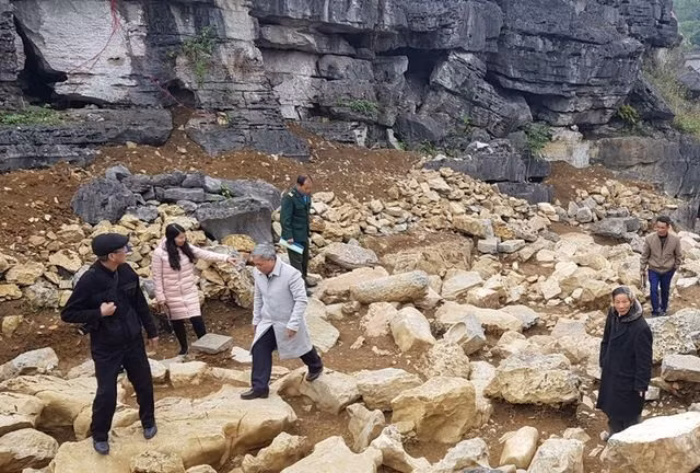 Remnants of 10th century pagoda unearthed ảnh 1