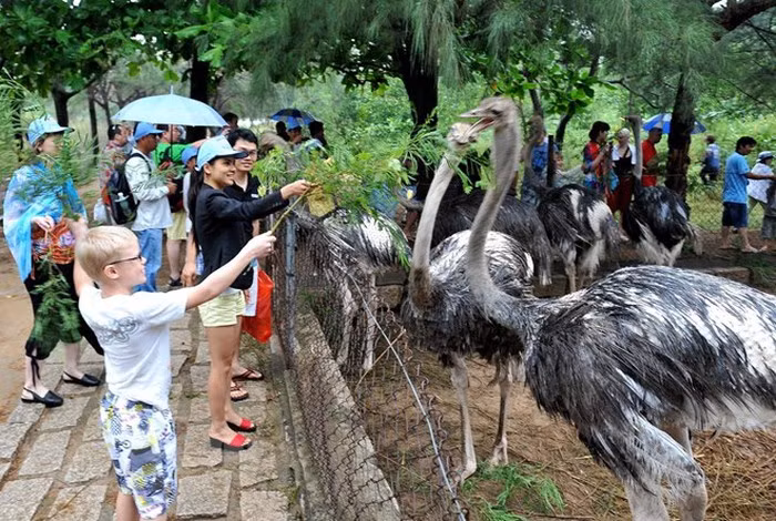 Tour organisers offer attractive products for coming long holiday ảnh 1
