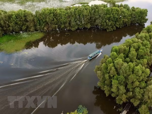 Forum promotes green tourism in Vietnam ảnh 1