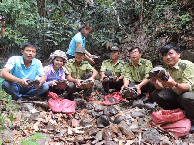 Over 80 wild animals reintroduced at national park ảnh 1