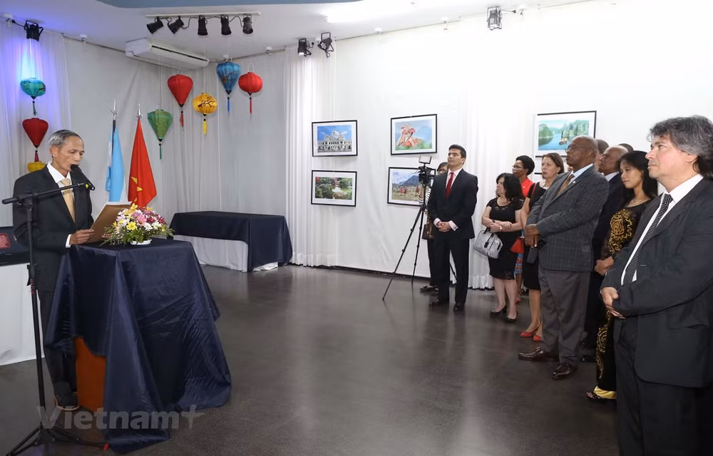 Argentina vows to elevate relations with Vietnam ảnh 1