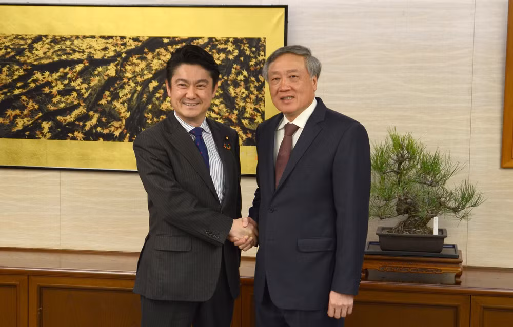 Vietnam, Japan supreme courts boost cooperation ảnh 1