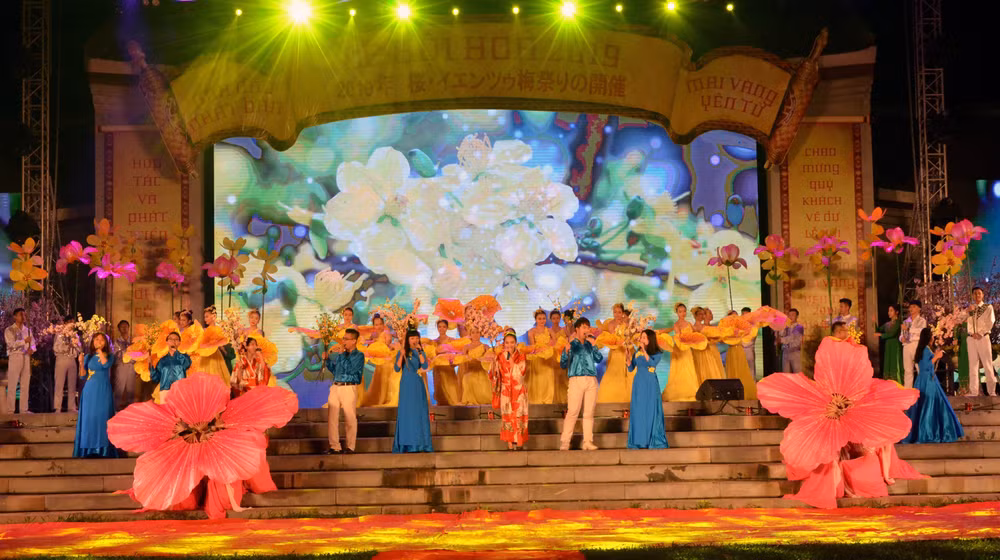 Cherry blossom festival opens in Quang Ninh ảnh 1