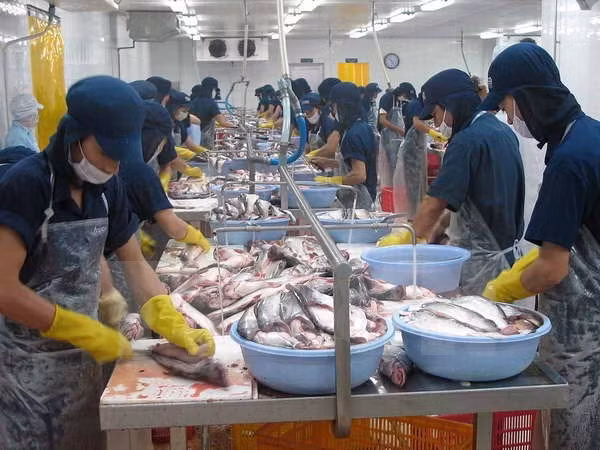 EU-Vietnam free trade deal to benefit both parties ảnh 1