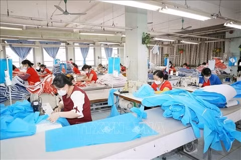 Domestic businesses urged to boost export of medical supplies ảnh 1