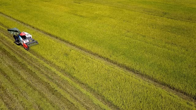 Vietnam’s agriculture to be world’s top 15 most developed ảnh 1
