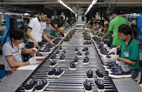 Footwear exports to the US set for tough year ảnh 1