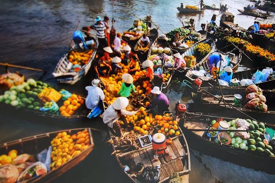 Mekong Delta partners with Vietnam Airlines to promote tourism ảnh 1