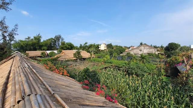 Zero-waste communities start to emerge in Hoi An ảnh 1