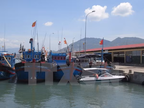 PM gives green light to fisheries centre in Hai Phong ảnh 1 PM gives green light to fisheries centre in Hai Phong ảnh 1