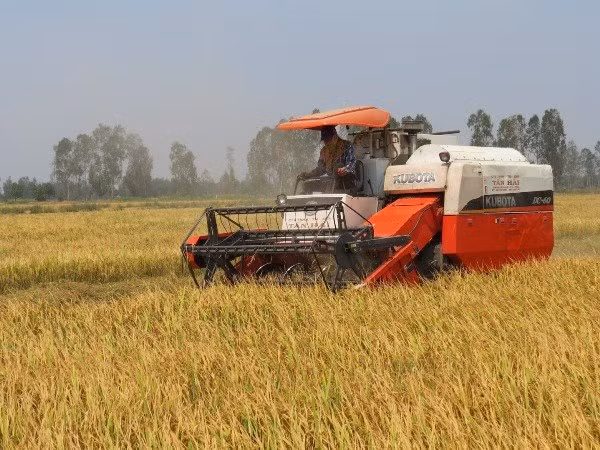 Central bank urges more loans for farmers ảnh 1