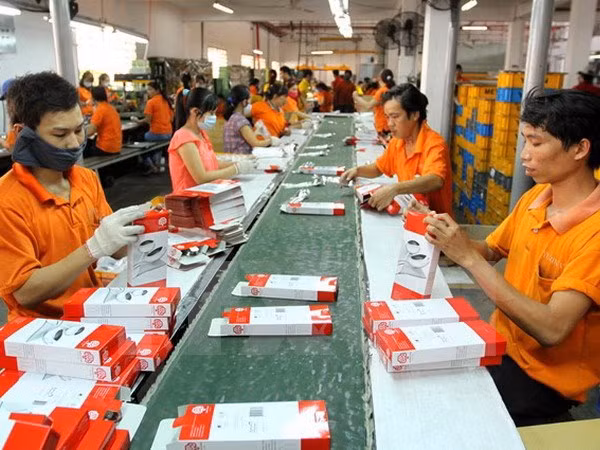 HCM City to transform industrial parks with hi-tech industries ảnh 1