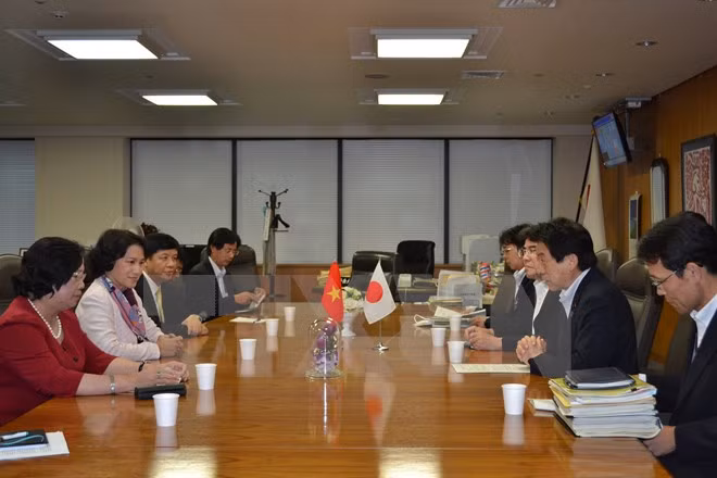 Vietnam, Japan work together in human resources development ảnh 1