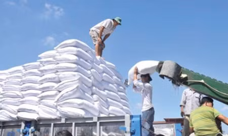 MARD proposes sugar import quota ảnh 1