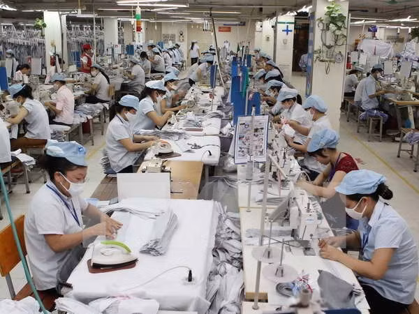 Businesses optimise FTA opportunities ảnh 1 Businesses optimise FTA opportunities ảnh 1