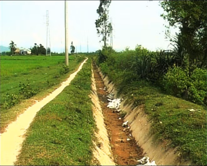Da Nang city to see water shortage ảnh 1